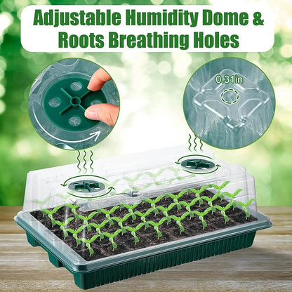 Seed Starter Kit with LED Grow Lights & Timer – 2 Pack, 80 Cells, High Dome Trays - UrbanSprout