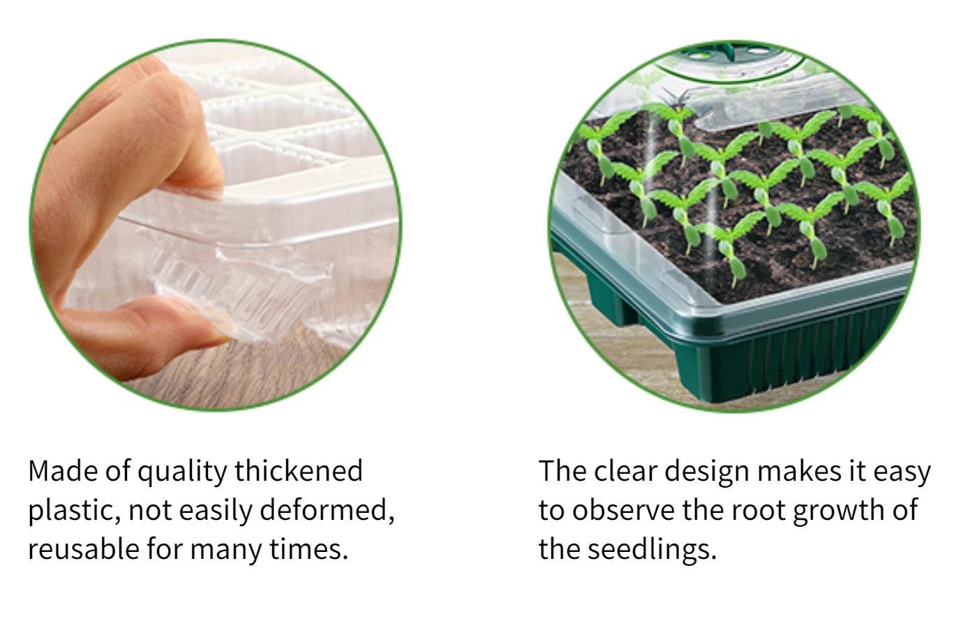 Seed Starter Kit with LED Grow Lights & Timer – 2 Pack, 80 Cells, High Dome Trays - UrbanSprout