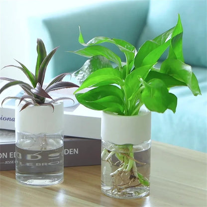 Mini Hydroponic Home Flower Pot
