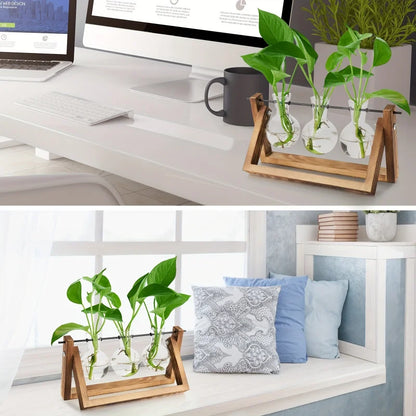 Glass Bulb Planter Wooden Stand