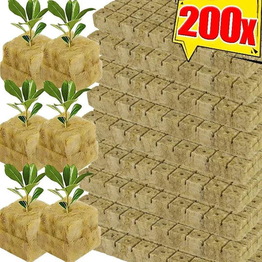 High-Quality Sponge Block Starter Plugs & Rock Wool Grow Cubes for Hydroponics - Perfect for Seed Starting & Plant Propagation - UrbanSprout