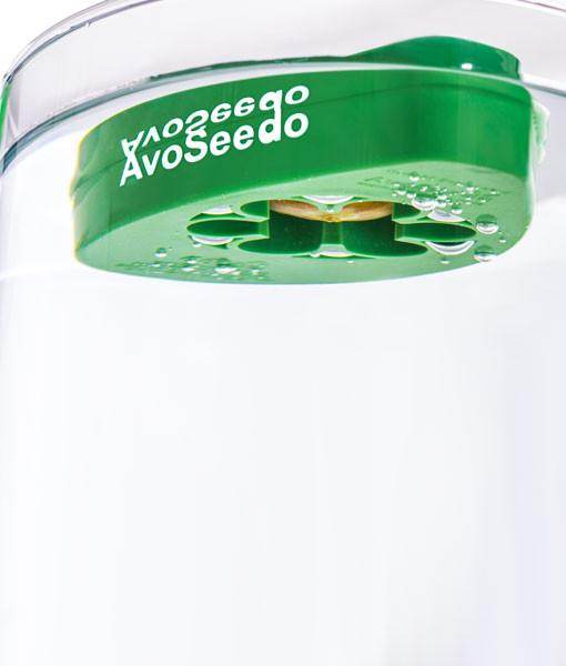 AvoSeedo 3-Pack | Avocado Seed Germination Kit | Easy & Successful Growing Solution - UrbanSprout