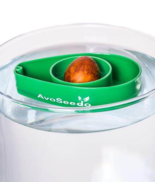 AvoSeedo 3-Pack | Avocado Seed Germination Kit | Easy & Successful Growing Solution - UrbanSprout