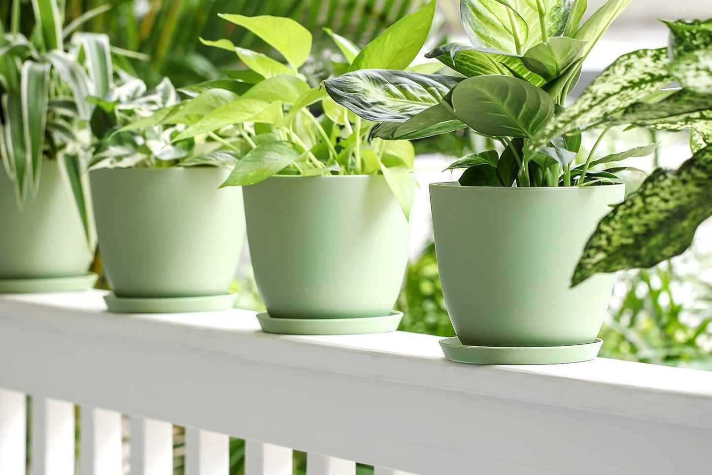 Set of 5 Modern 6.5" Plastic Plant Pots with Saucers and Drainage Holes for Indoor Use - Ideal for House Plants, Herbs, Flowers, and Seedlings