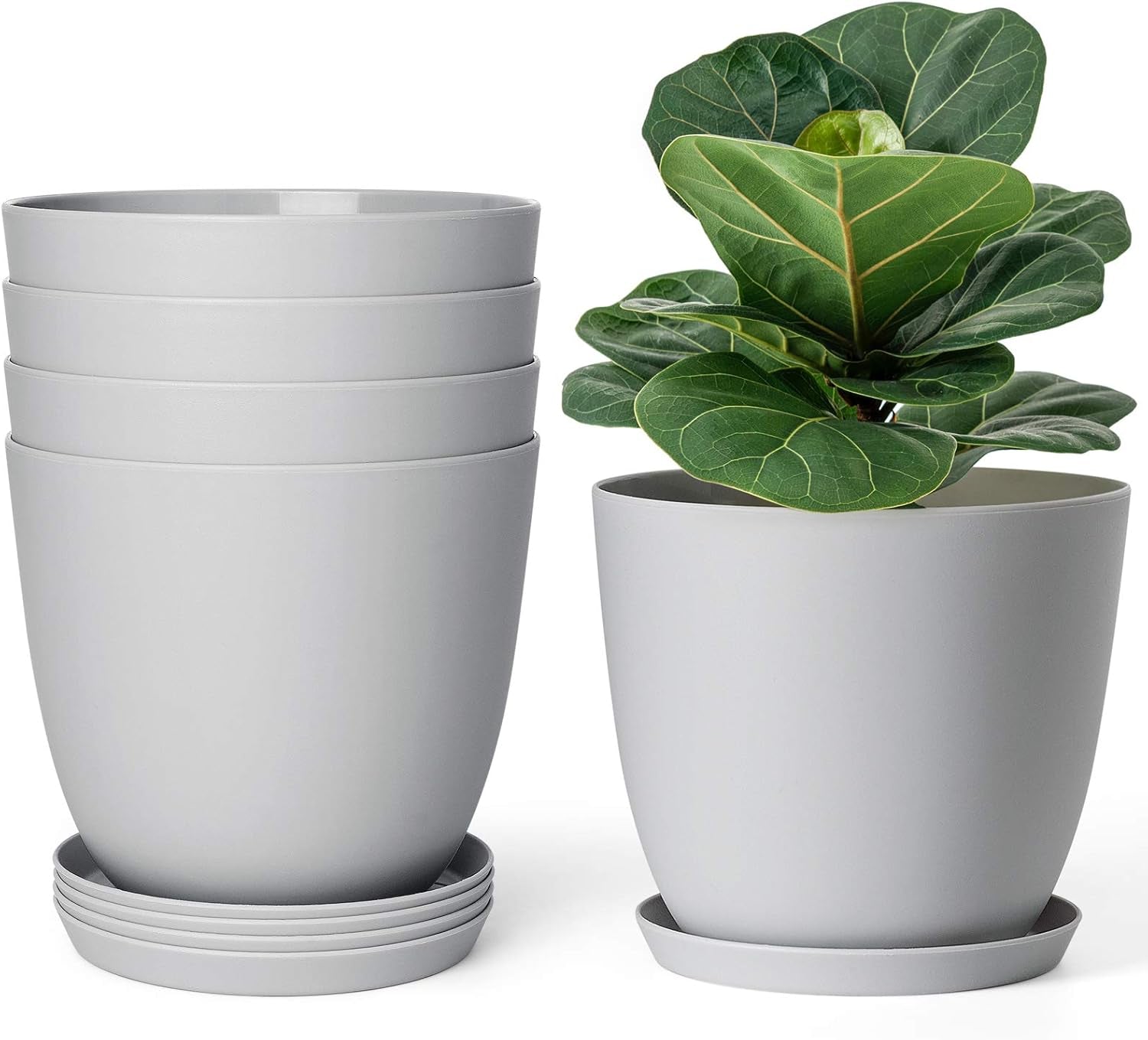 Set of 5 Modern 6.5" Plastic Plant Pots with Saucers and Drainage Holes for Indoor Use - Ideal for House Plants, Herbs, Flowers, and Seedlings