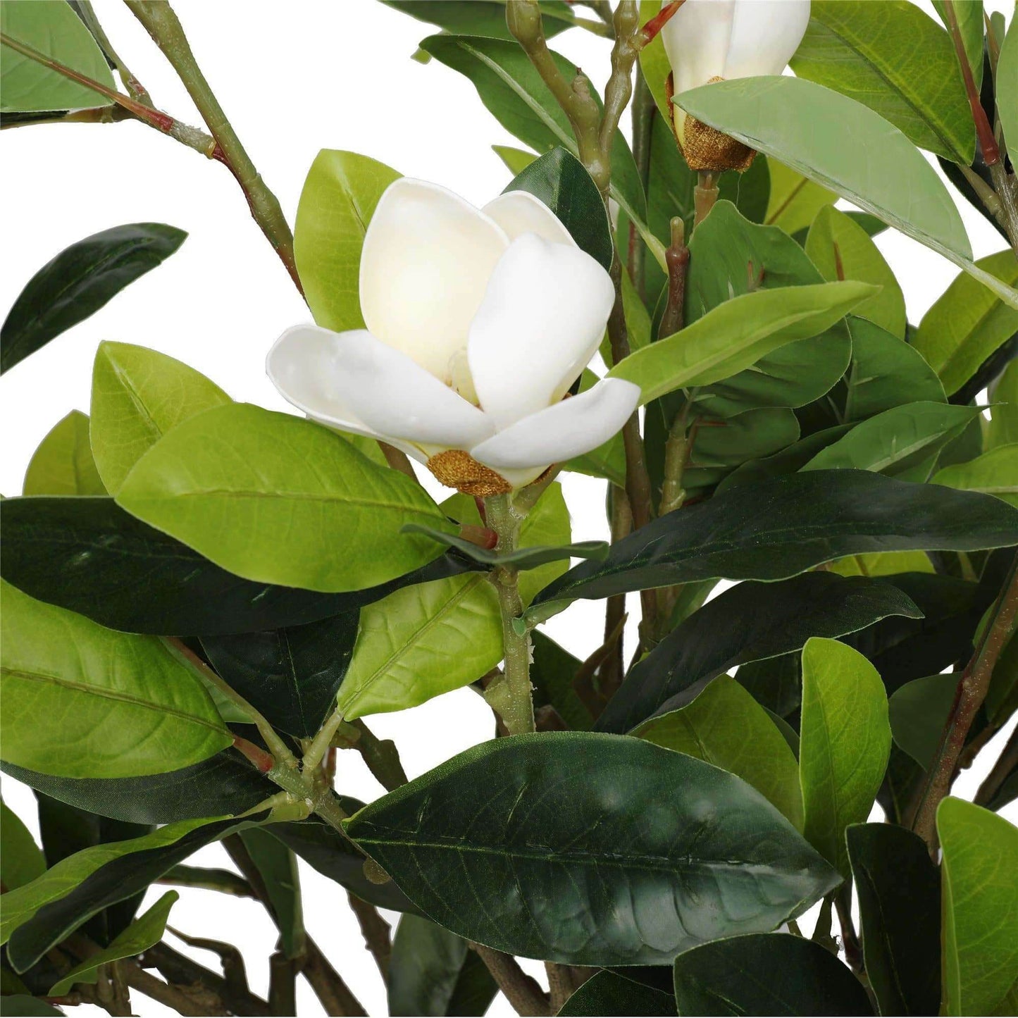 Faux Potted Magnolia Tree with Stunning White Flowers | 130cm Artificial Flowering Tree | Realistic Indoor Decor - UrbanSprout
