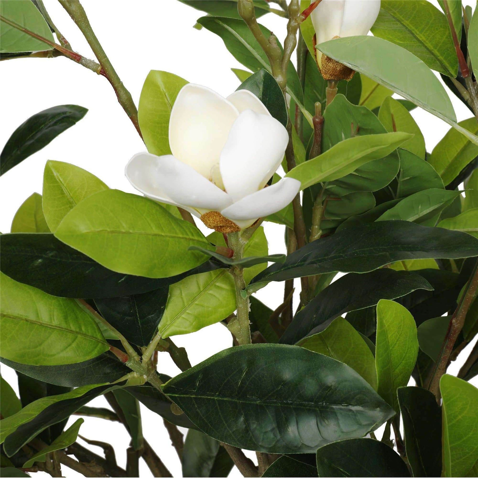 Faux Potted Magnolia Tree with Stunning White Flowers | 130cm Artificial Flowering Tree | Realistic Indoor Decor - UrbanSprout