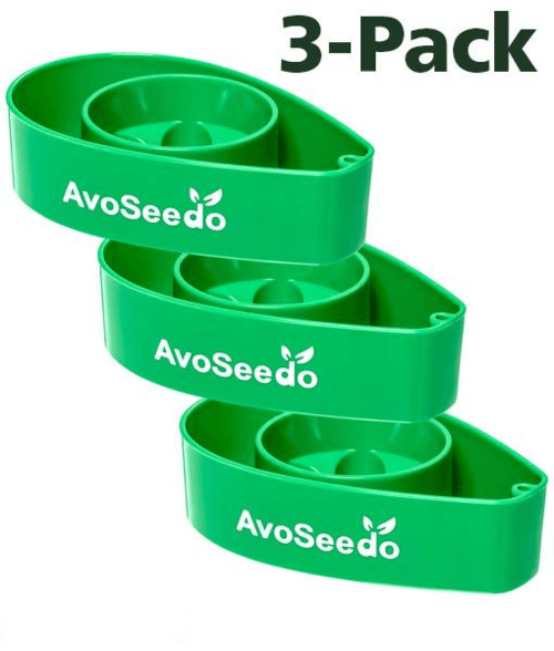 AvoSeedo 3-Pack | Avocado Seed Germination Kit | Easy & Successful Growing Solution - UrbanSprout