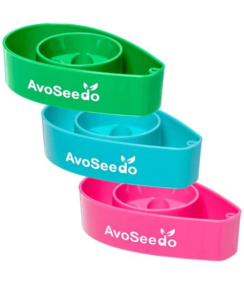 AvoSeedo 3-Pack | Avocado Seed Germination Kit | Easy & Successful Growing Solution - UrbanSprout