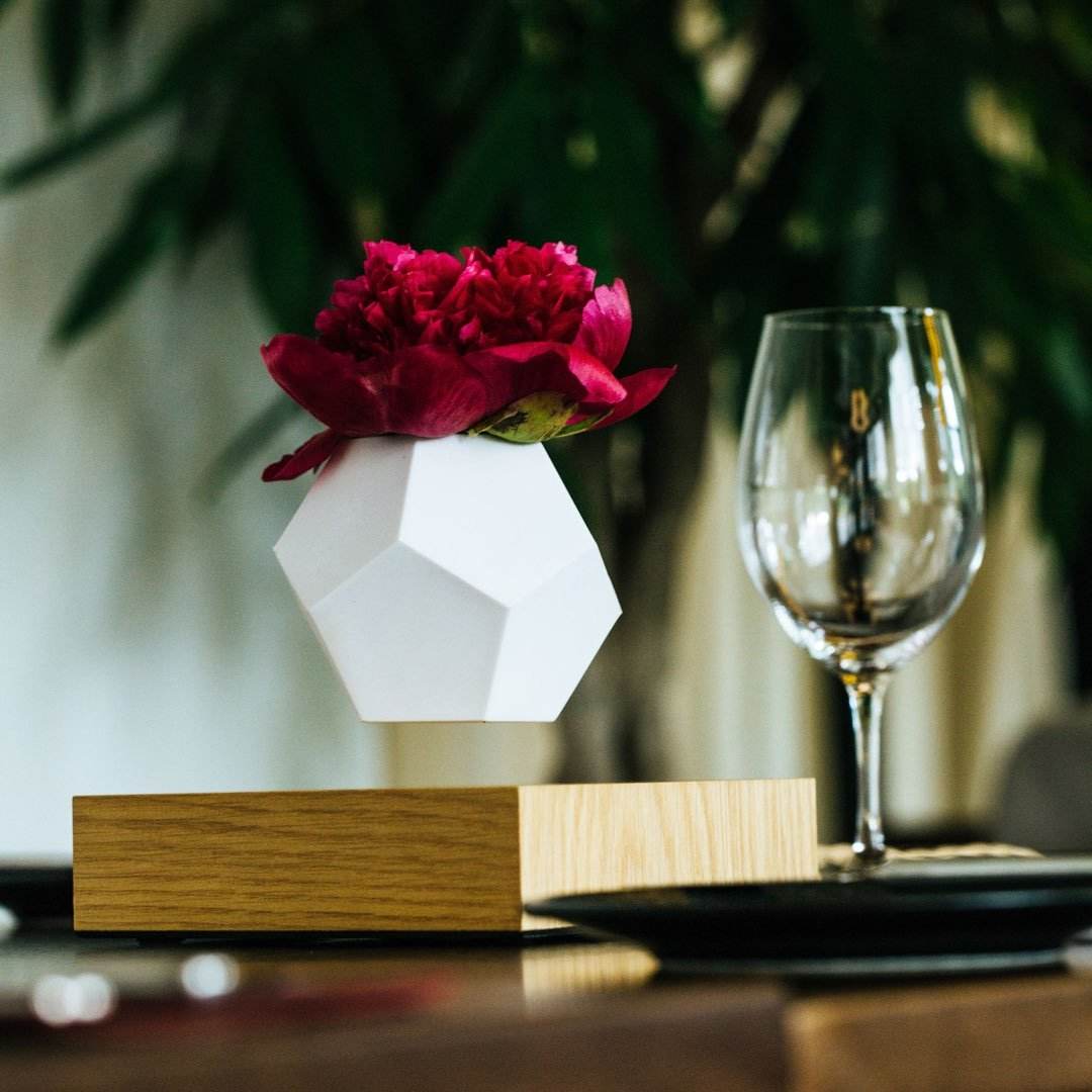 Lyfe Planter - Geodesic Floating Plant Pot with Oak Base | Levitation Technology for Unique Home Decor - UrbanSprout